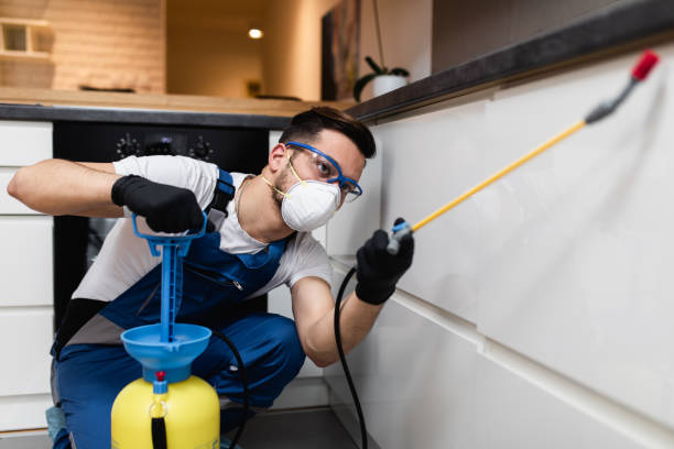 Reliable Hanahan, SC Pest Control Solutions