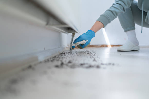 Best Pest Control Near Me  in Hanahan, SC